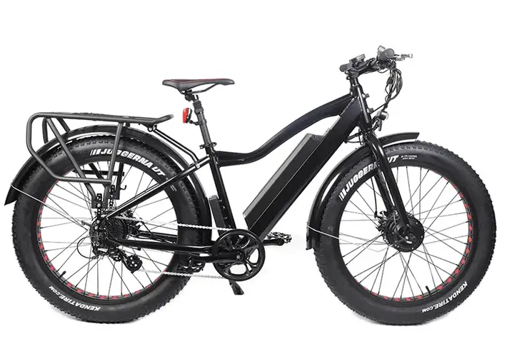 dual motor fat bike