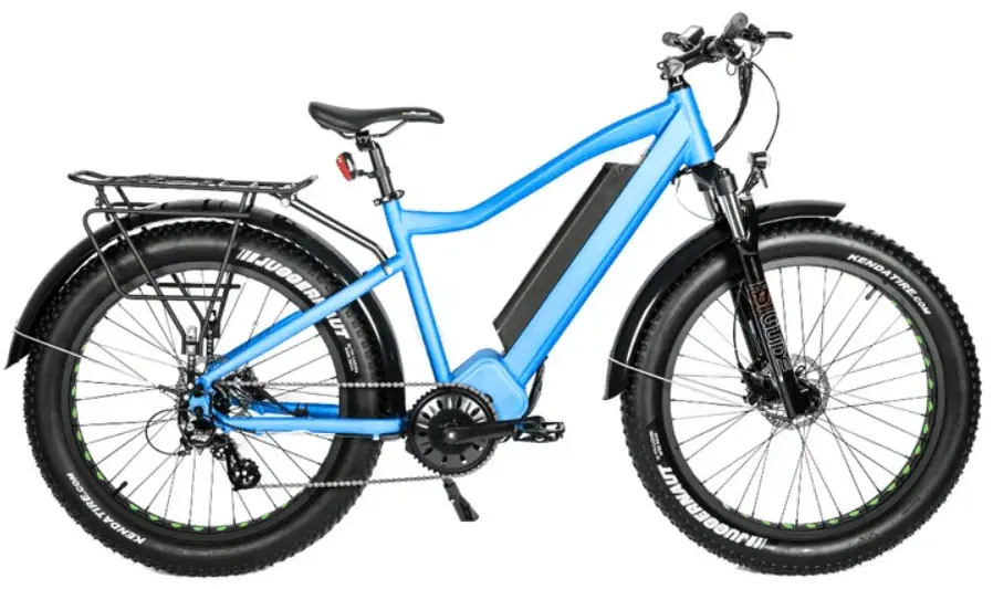 fat tire electric bike 1000w