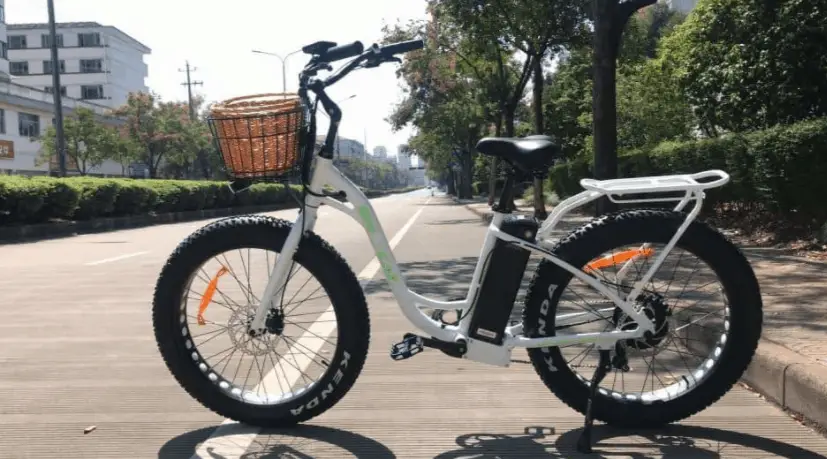 fat cat electric bike review