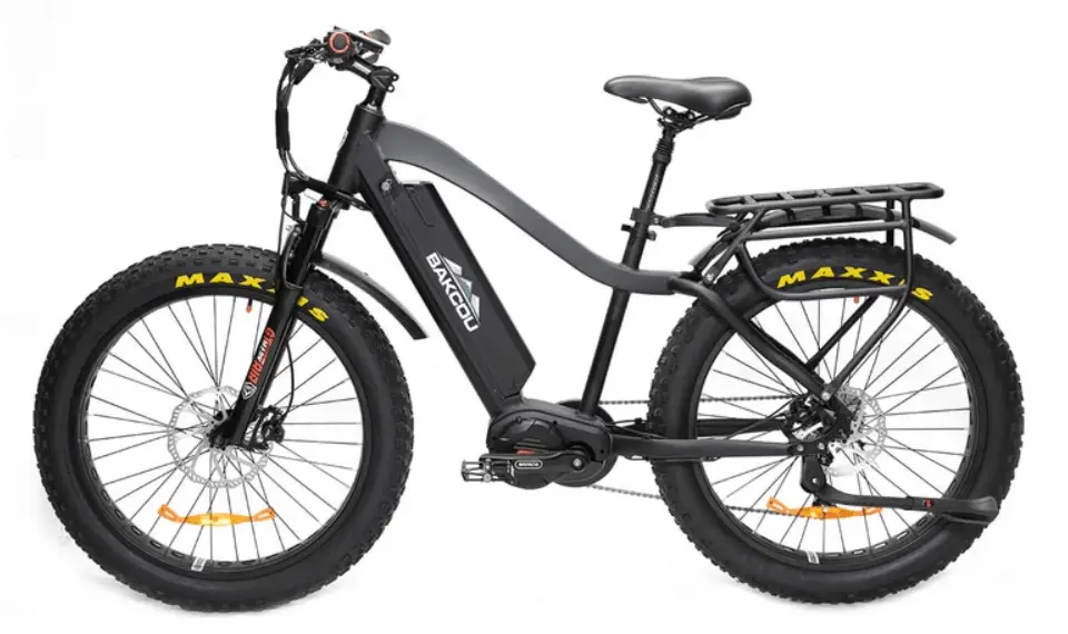 Best Fat Tire Electric Bikes with 1000W