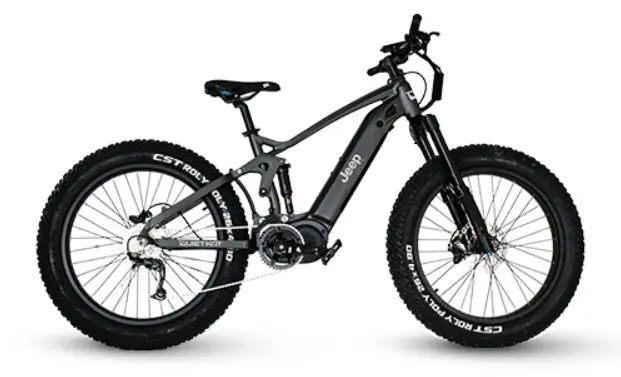 fat tire electric bike 1000w