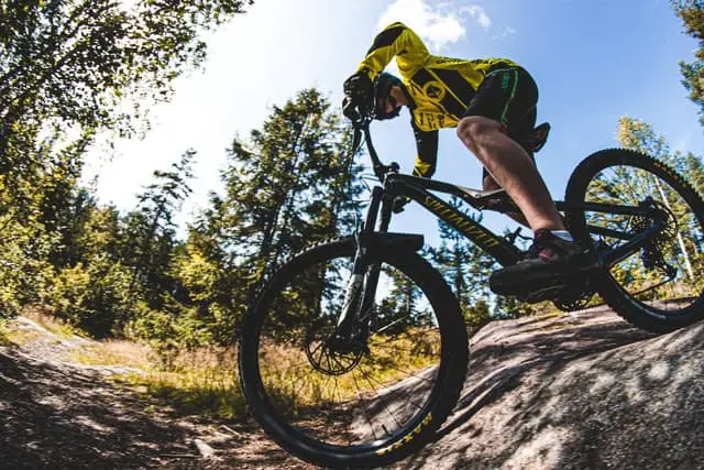 top mountain bikes for the money