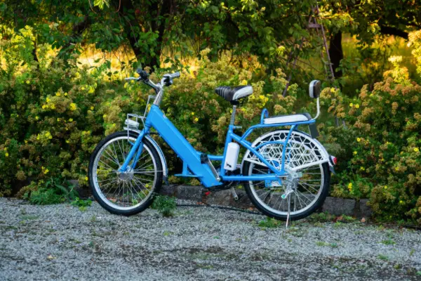 2-seater Electric Bike