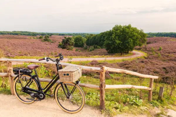 2-seater electric bikes