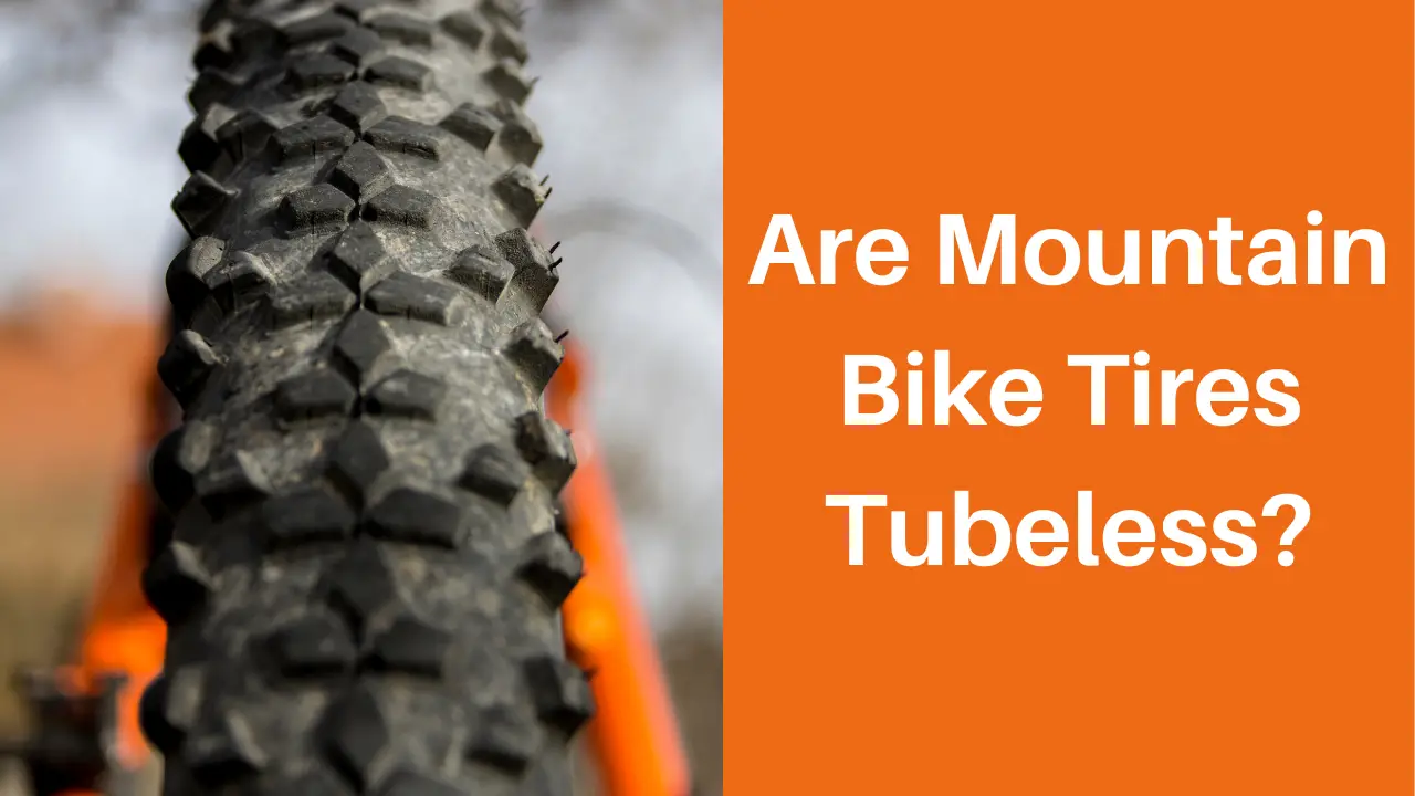 Are Mountain Bike Tires Tubeless